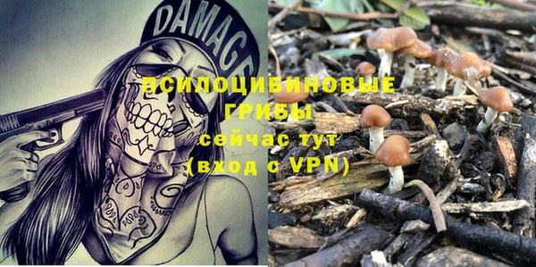 трава Вяземский